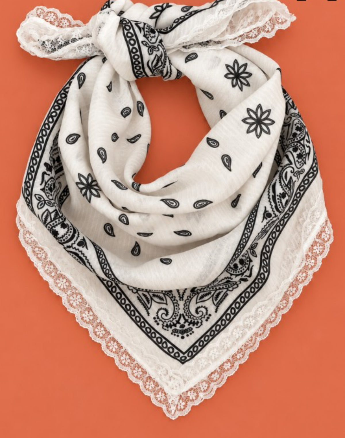 Western Whimsy Scarf